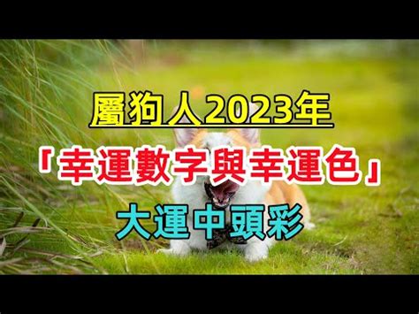 屬狗 2023 顏色